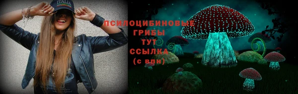 гашик Абаза