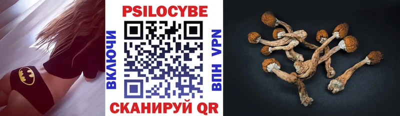 MEGA ТОР  маркетплейс официальный сайт  Псилоцибиновые грибы Magic Shrooms  Горбатов 